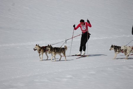 La Pesse 2015 Course de chiens de traineau (part1/2), IMG_5681