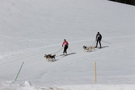 La Pesse 2015 Course de chiens de traineau (part1/2), IMG_5682