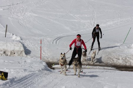 La Pesse 2015 Course de chiens de traineau (part1/2), IMG_5684