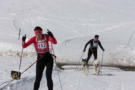 La Pesse 2015 Course de chiens de traineau (part1/2), IMG_5685