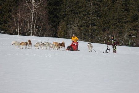La Pesse 2015 Course de chiens de traineau (part1/2), IMG_5691