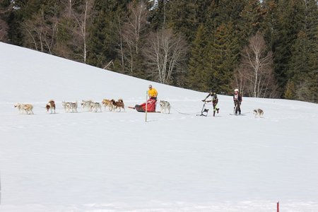 La Pesse 2015 Course de chiens de traineau (part1/2), IMG_5693