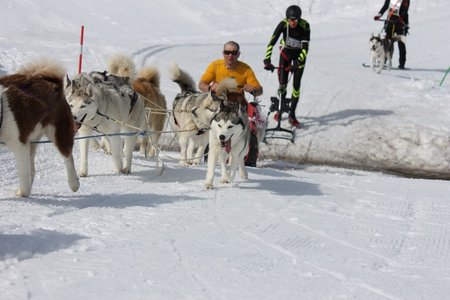 La Pesse 2015 Course de chiens de traineau (part1/2), IMG_5700