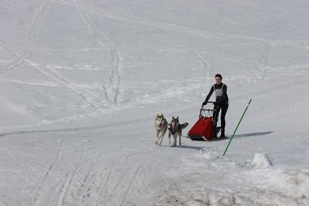 La Pesse 2015 Course de chiens de traineau (part1/2), IMG_5711