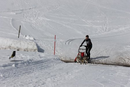 La Pesse 2015 Course de chiens de traineau (part1/2), IMG_5714