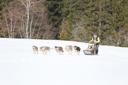 La Pesse 2015 Course de chiens de traineau (part1/2), IMG_5717