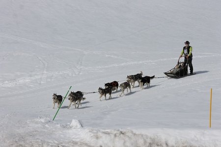 La Pesse 2015 Course de chiens de traineau (part1/2), IMG_5720
