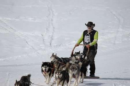 La Pesse 2015 Course de chiens de traineau (part1/2), IMG_5721