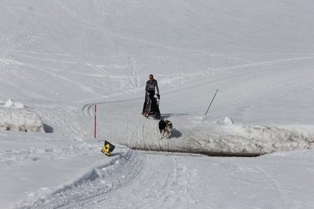 La Pesse 2015 Course de chiens de traineau (part1/2), IMG_5726
