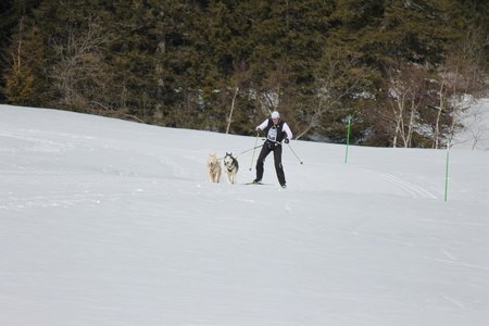 La Pesse 2015 Course de chiens de traineau (part1/2), IMG_5729