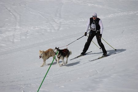 La Pesse 2015 Course de chiens de traineau (part1/2), IMG_5731