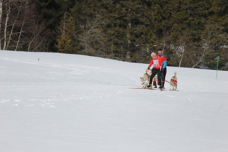 La Pesse 2015 Course de chiens de traineau (part1/2), IMG_5735
