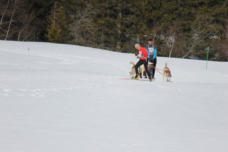 La Pesse 2015 Course de chiens de traineau (part1/2), IMG_5736