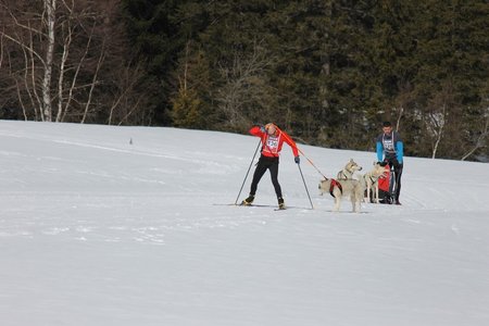 La Pesse 2015 Course de chiens de traineau (part1/2), IMG_5737