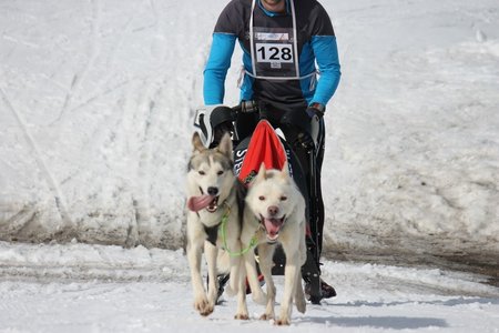 La Pesse 2015 Course de chiens de traineau (part1/2), IMG_5743