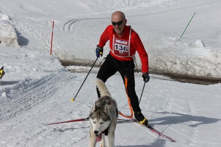 La Pesse 2015 Course de chiens de traineau (part1/2), IMG_5745