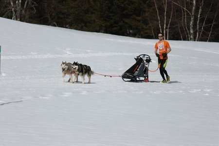 La Pesse 2015 Course de chiens de traineau (part1/2), IMG_5748