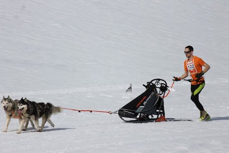 La Pesse 2015 Course de chiens de traineau (part1/2), IMG_5750