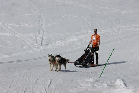La Pesse 2015 Course de chiens de traineau (part1/2), IMG_5752