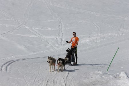 La Pesse 2015 Course de chiens de traineau (part1/2), IMG_5753