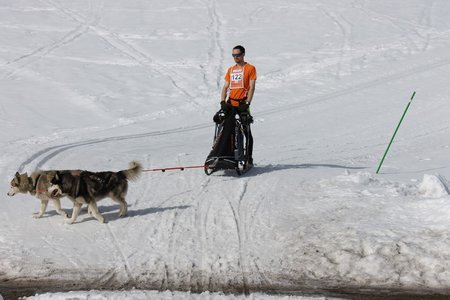 La Pesse 2015 Course de chiens de traineau (part1/2), IMG_5754