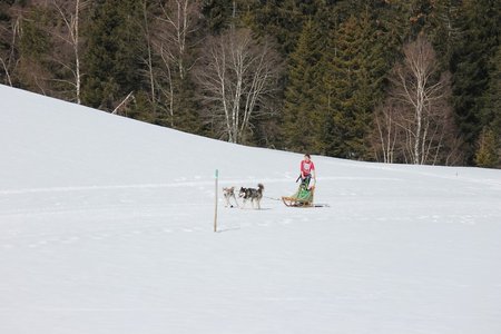 La Pesse 2015 Course de chiens de traineau (part1/2), IMG_5756