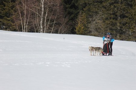 La Pesse 2015 Course de chiens de traineau (part1/2), IMG_5758