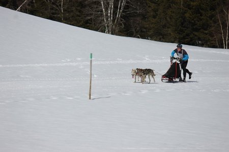 La Pesse 2015 Course de chiens de traineau (part1/2), IMG_5759