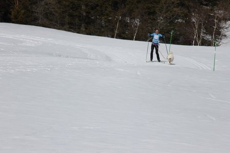 La Pesse 2015 Course de chiens de traineau (part1/2), IMG_5762