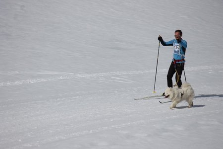 La Pesse 2015 Course de chiens de traineau (part1/2), IMG_5766