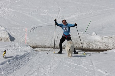 La Pesse 2015 Course de chiens de traineau (part1/2), IMG_5770