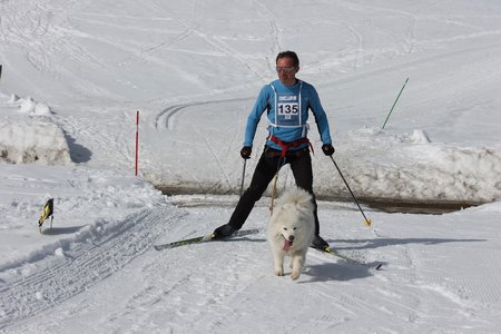 La Pesse 2015 Course de chiens de traineau (part1/2), IMG_5771