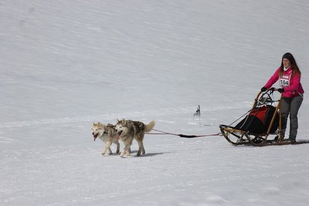 La Pesse 2015 Course de chiens de traineau (part1/2), IMG_5774