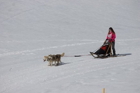 La Pesse 2015 Course de chiens de traineau (part1/2), IMG_5776