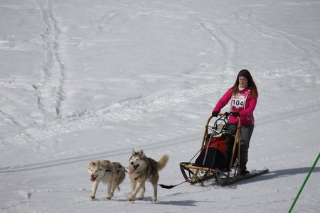 La Pesse 2015 Course de chiens de traineau (part1/2), IMG_5778