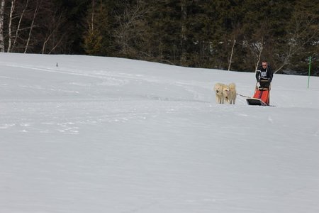 La Pesse 2015 Course de chiens de traineau (part1/2), IMG_5785