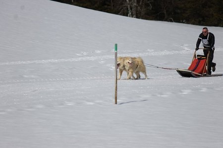 La Pesse 2015 Course de chiens de traineau (part1/2), IMG_5787