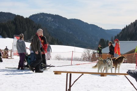 La Pesse 2015 Course de chiens de traineau (part1/2), IMG_5797