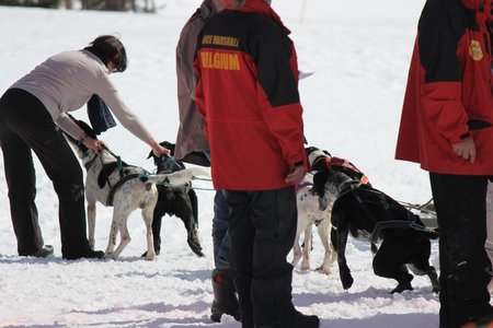 La Pesse 2015 Course de chiens de traineau (part1/2), IMG_5803