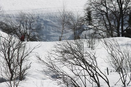 La Pesse 2015 Course de chiens de traineau (part1/2), IMG_5808
