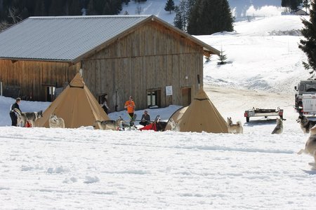 La Pesse 2015 Course de chiens de traineau (part1/2), IMG_5810