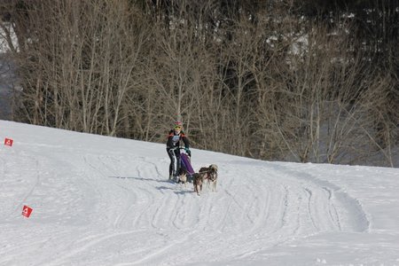 La Pesse 2015 Course de chiens de traineau (part1/2), IMG_5814