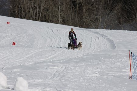 La Pesse 2015 Course de chiens de traineau (part1/2), IMG_5815