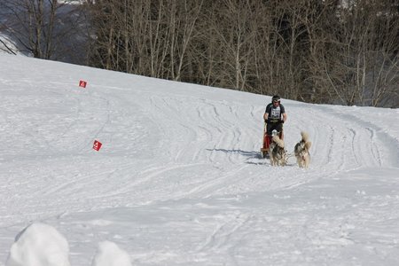 La Pesse 2015 Course de chiens de traineau (part1/2), IMG_5819