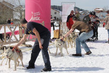 La Pesse 2015 Course de chiens de traineau (part1/2), IMG_5827