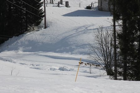 La Pesse 2015 Course de chiens de traineau (part1/2), IMG_5835
