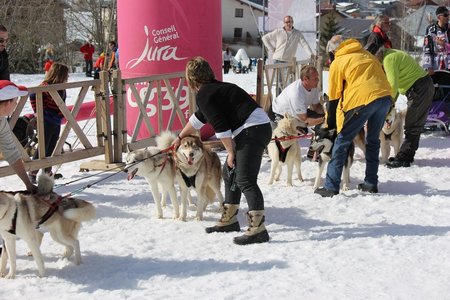 La Pesse 2015 Course de chiens de traineau (part1/2), IMG_5844