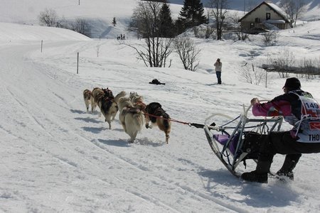 La Pesse 2015 Course de chiens de traineau (part1/2), IMG_5855