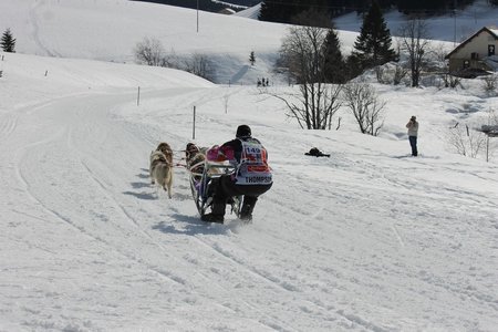 La Pesse 2015 Course de chiens de traineau (part1/2), IMG_5857