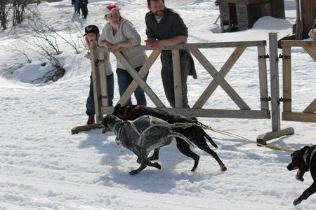 La Pesse 2015 Course de chiens de traineau (part1/2), IMG_5864